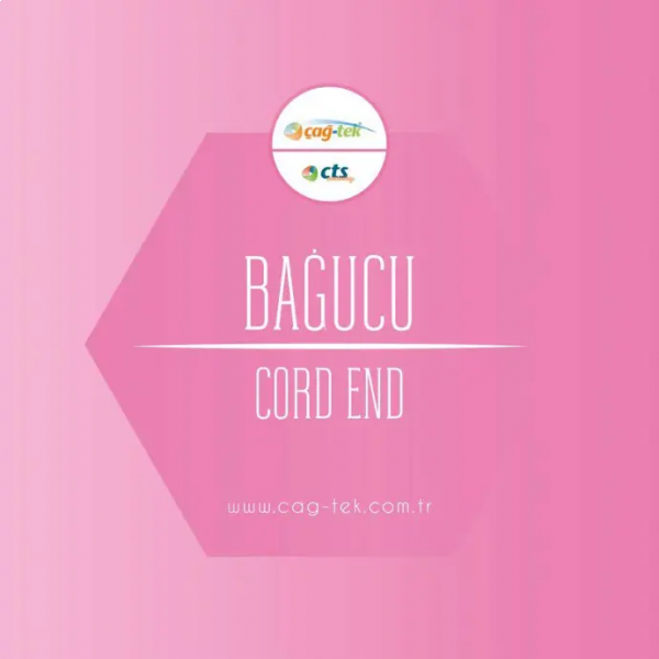 BAGUCU